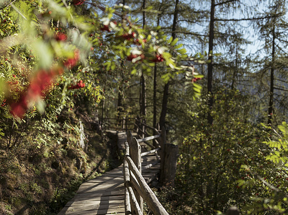 Familienurlaub oder aktive Paare, der idyllische Waalweg im Vinschgau ist für alle ideal